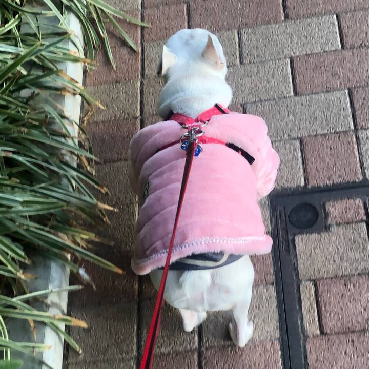 8ab442fe ab2f 43f6 9746 22e5818626dc 1544945419496