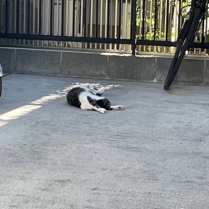 8ab444ad 7f12 4c37 89a7 18b46ee6764d 1628140486017