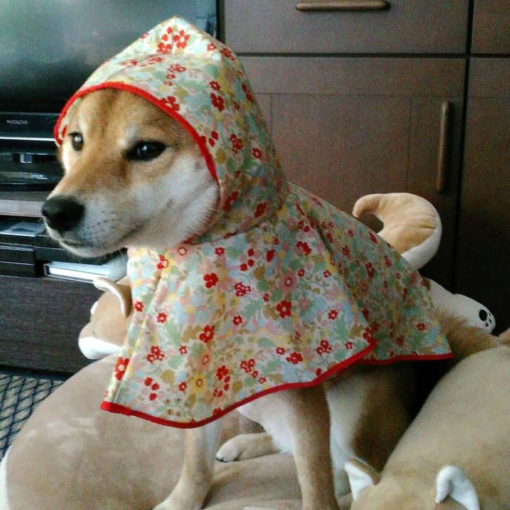 8ab46b12 3f17 4f43 af6c bed137f7fd7c 1520919318799