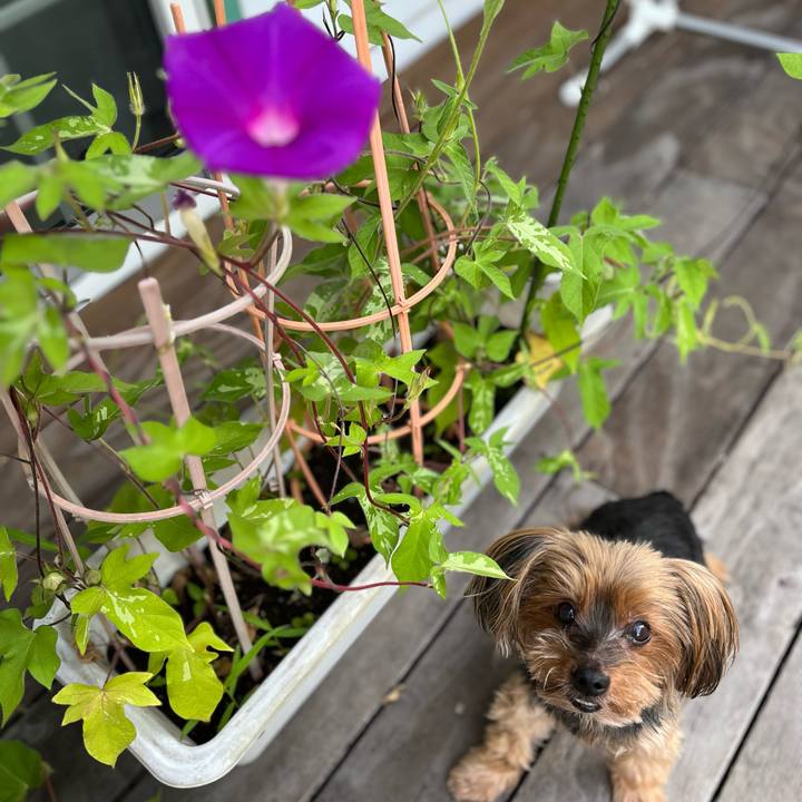 8ab4b619 5d7f 4749 9112 1946ca9d4aa5 1721771413359