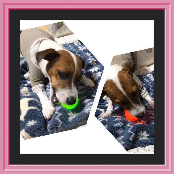 8ab4b92b 67b3 4af8 98ec 26202cc1ac70 1573389939042