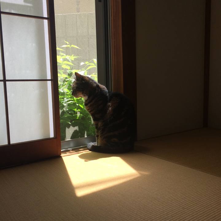 8ab53019 ed6a 445d a96f e8bc9dcfdcbf 1557273722362