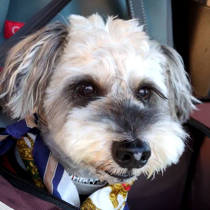 8ab566c7 e857 4f18 8fd6 cd4c143aeea8 1756417135524