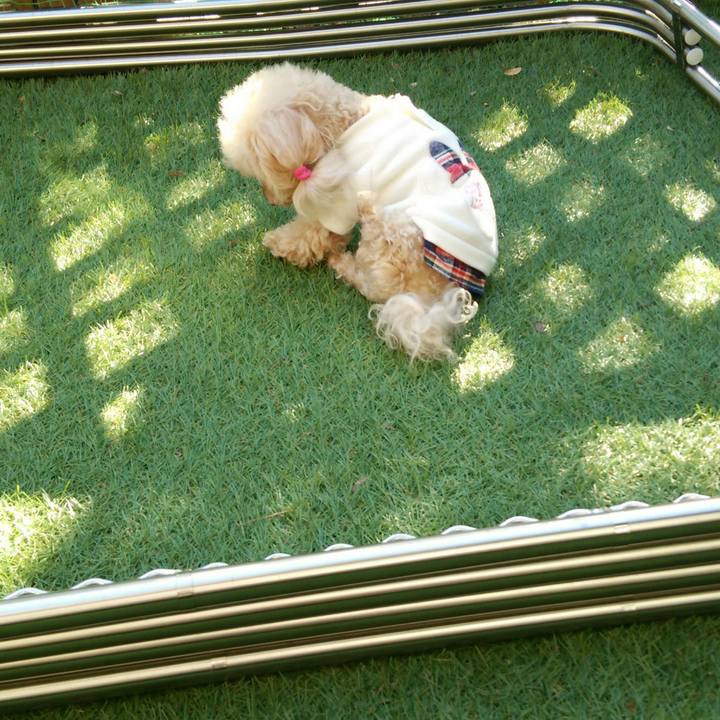 8ab57914 6bdb 480d 94eb 4803bb8879c1 1543223938006