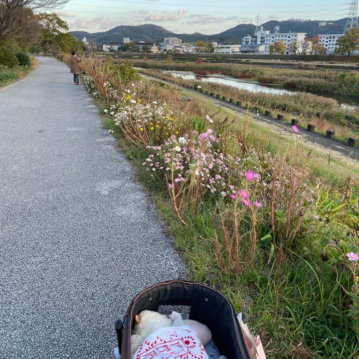 8ab5849c b700 425f 8702 86ba10b91a4e 1669630877163