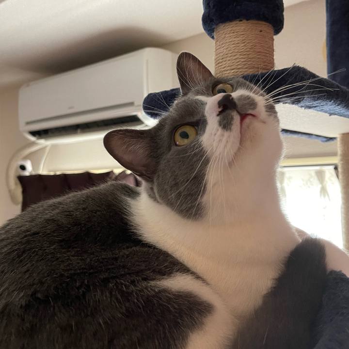 8ab5ab32 d701 44e5 917c 57474ad2effd 1660172037882