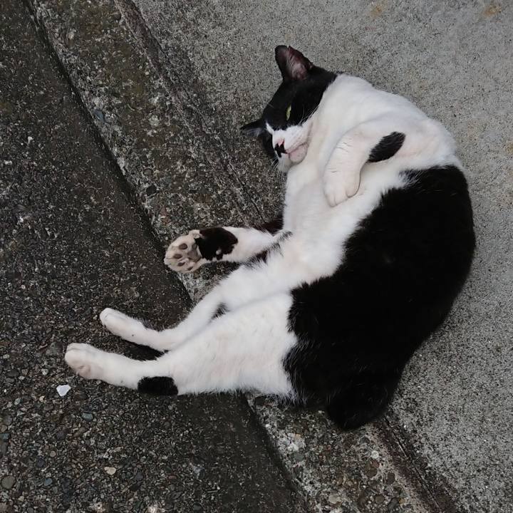 8ab5efe5 a4a4 4e78 bc8c 7afae4d6d1a0 1665900429152