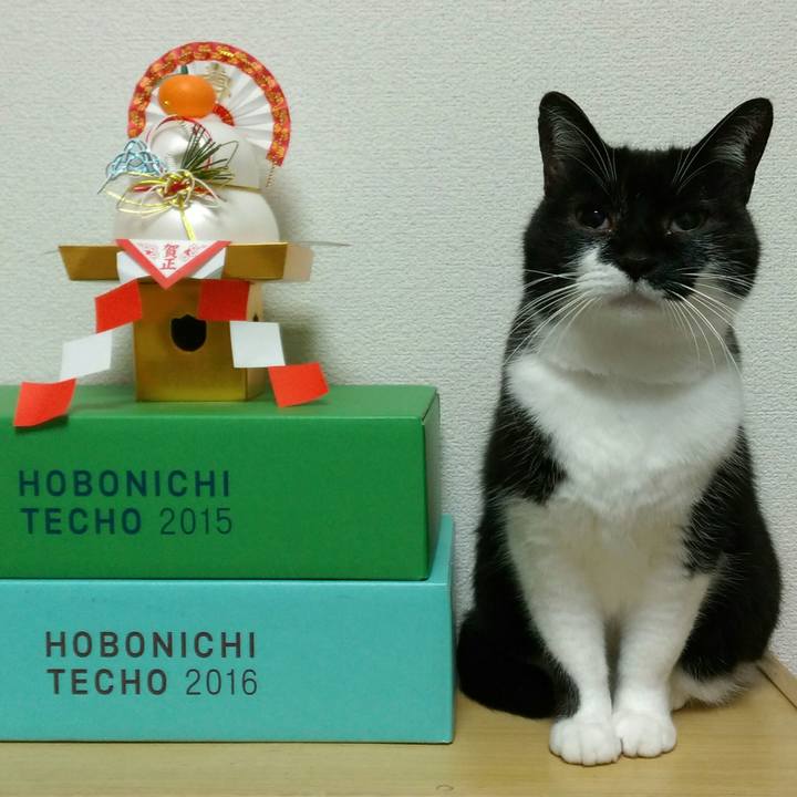 8ab5f3b6 aed7 47c6 a7c3 1520296a73e6 1547033557007