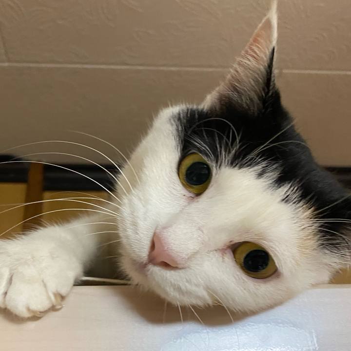 8ab61736 c100 46b7 b3a9 bb05bc180122 1647955764404