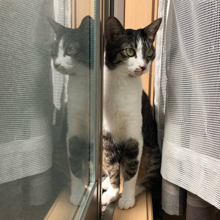 8ab63339 f0b3 49a8 b71c 7052a557b1f9 1552506751095