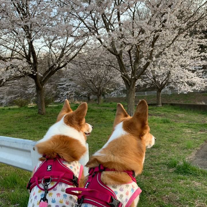 8ab651f1 fd52 43b3 a7c0 3919b9597718 1616577748874