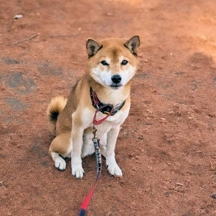 8ab66cdc 6740 44e4 afee 448d2cd50cd3 1702804931153