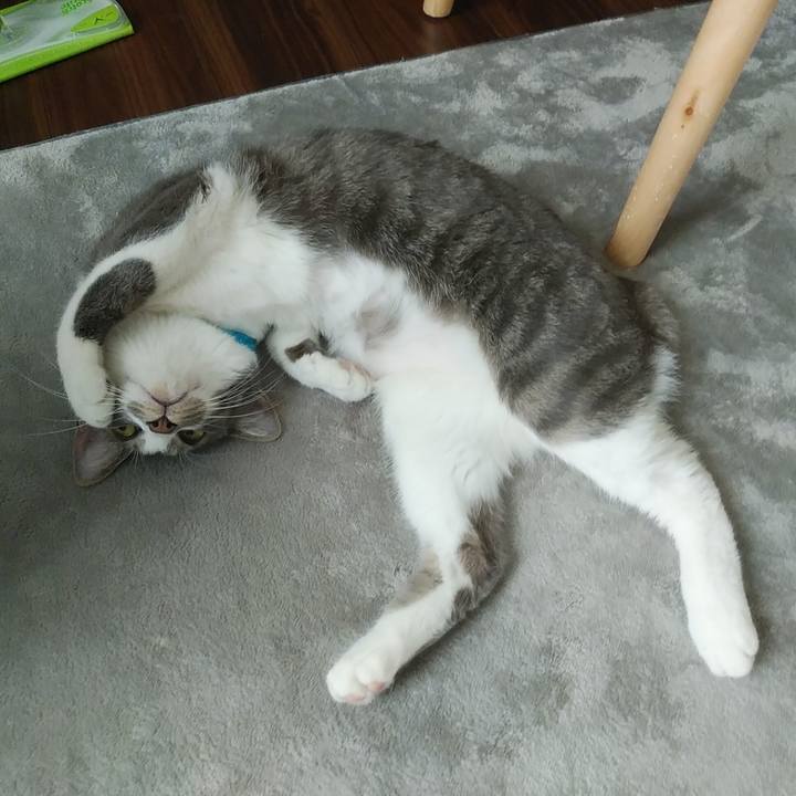 8ab6830b 3494 4776 a6cd 20e5c945bb0c 1588981068451