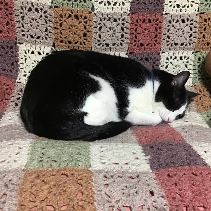 8ab6ac76 3f6b 4255 a8e9 ef33eb49a944 1706445732779