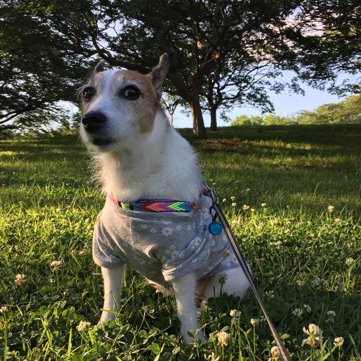 8ab6b916 6633 456b 88af 843cd54d33d9 1655249684198