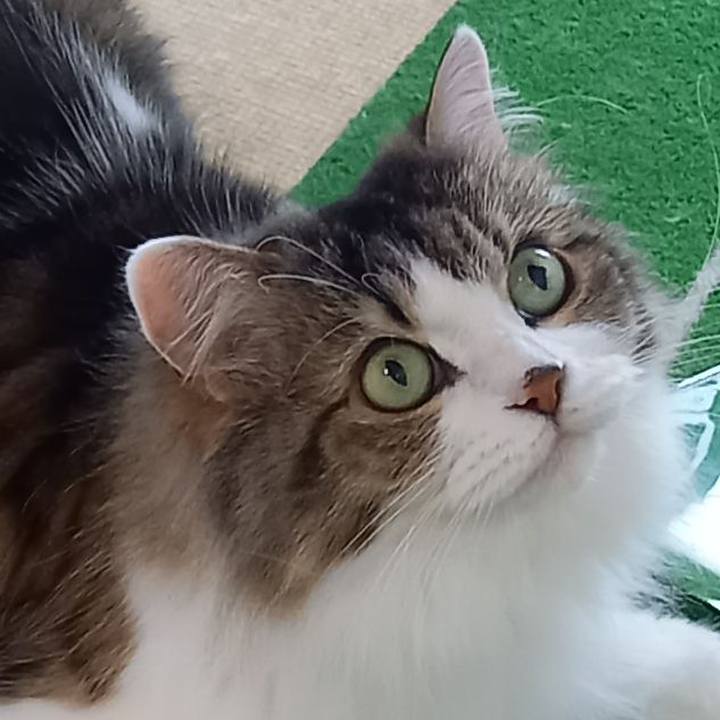 8ab6bc9c f13b 4055 855f d6fb03639b9a 1691801312218