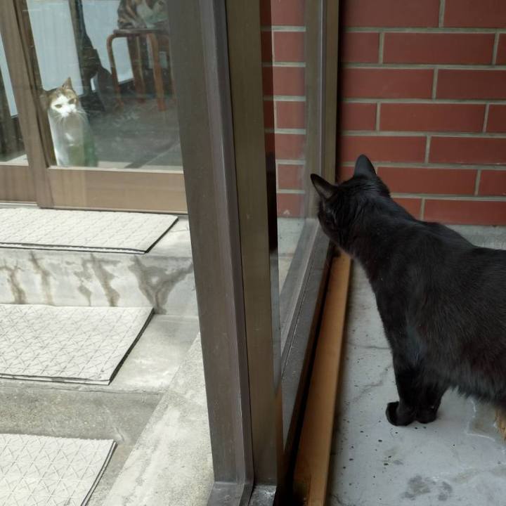 8ab6d088 c6f5 4316 a16c cad572aa6510 1714881845729