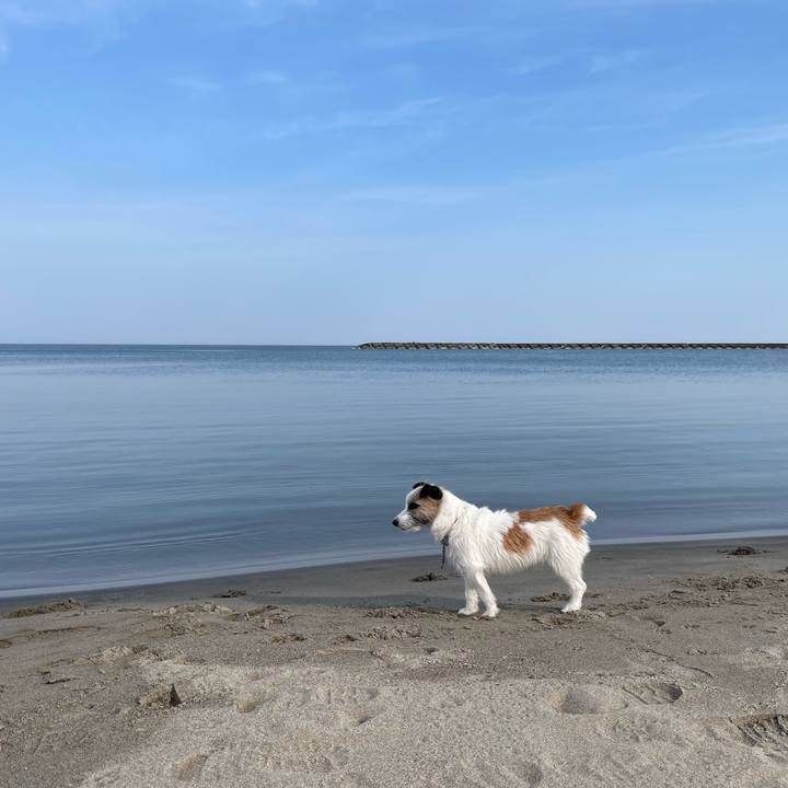 8ab6d7b0 3df4 4ae9 803d bf24cd637aab 1650498122119