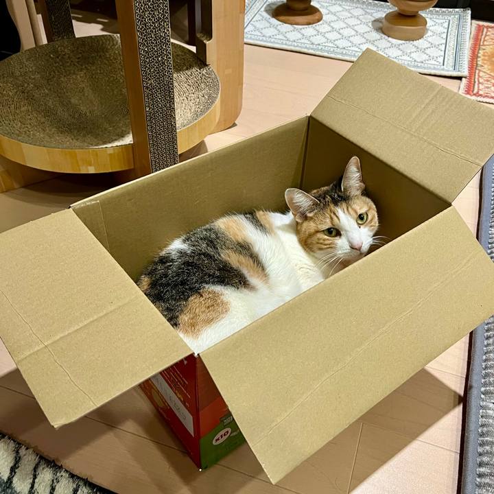 8ab6f5c2 f1c4 4bcb 831a 42fa44386d32 1770953811880