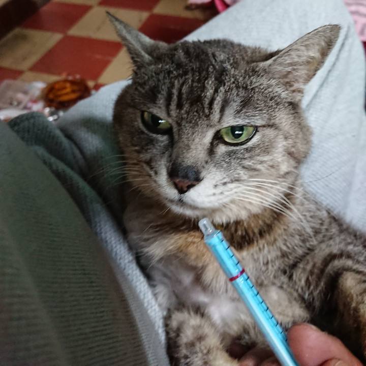 8ab6fd59 d02d 4bdc 8ddf b59f2f07c6cd 1590354876365