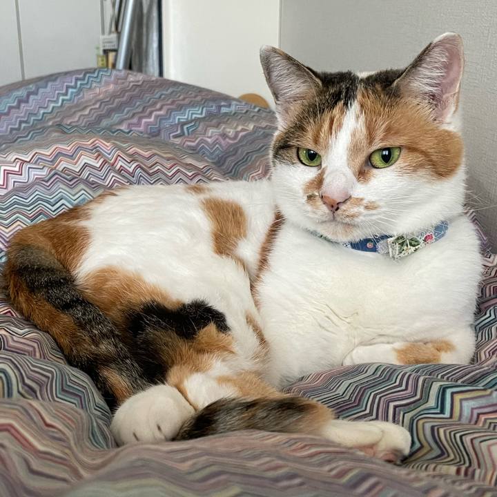 8ab6fdd8 288c 4f9b 91f5 2ddc8a4f5128 1729483558853