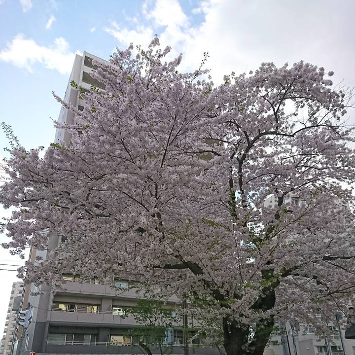 8ab6fe51 1182 4c86 b0fd e44e86a194ca 1525395369397