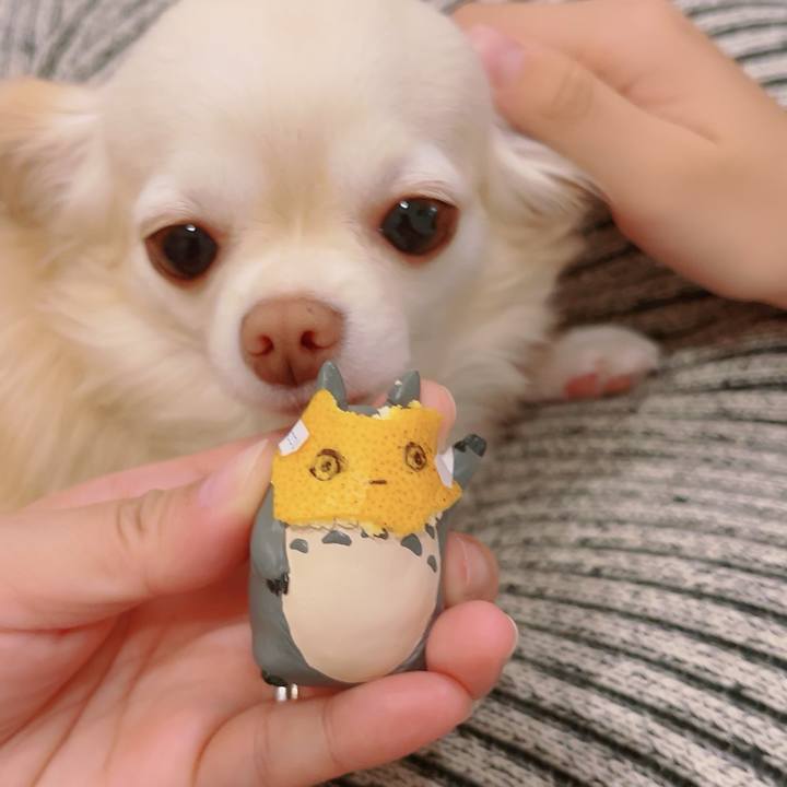 8ab730a2 b99c 46cf ad92 13e2659bb4d7 1699928141838