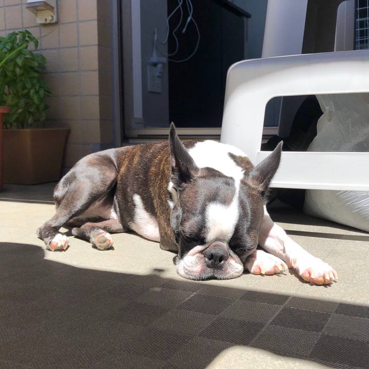 8ab74b80 2f26 42a8 9ad6 a5a6415417a1 1629353767916