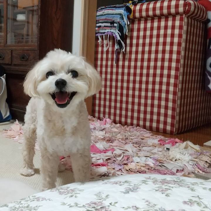 8ab752ff 776e 4ad8 bcb3 0cddac9c7a39 1599649413943