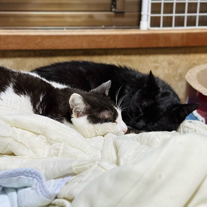 8ab78e20 5096 4fca b880 d3f2c22e404a 1688262695254