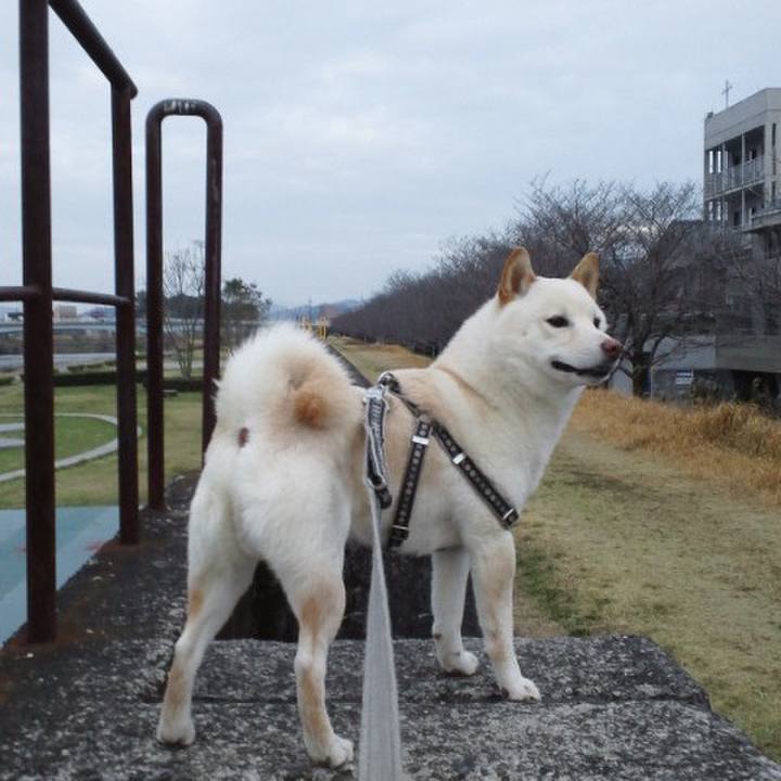 8ab79d08 31b4 4da4 8a80 4c36ffb34a59 1650732655287