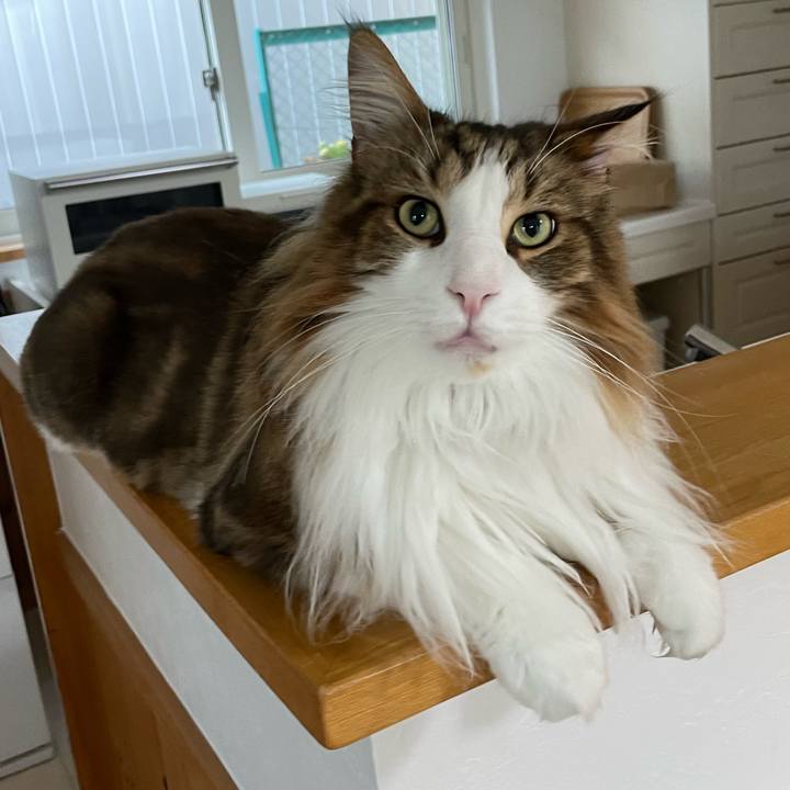 8ab7be54 2c8c 4f80 8702 689b20634879 1690832890922