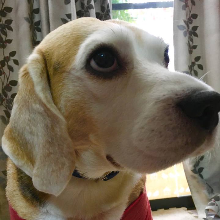 8ab7c0c2 0b13 474b 96ae 8ede8e337a36 1575608548877