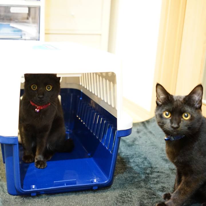 8ab7e439 8b53 44b2 965a b34faf3bf8b0 1511920657844