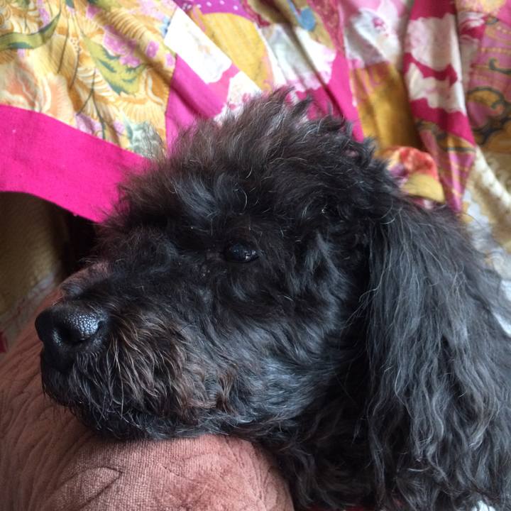 8ab7f16b 8d20 4d6c ad95 6a28a94c8a6d 1512623331614