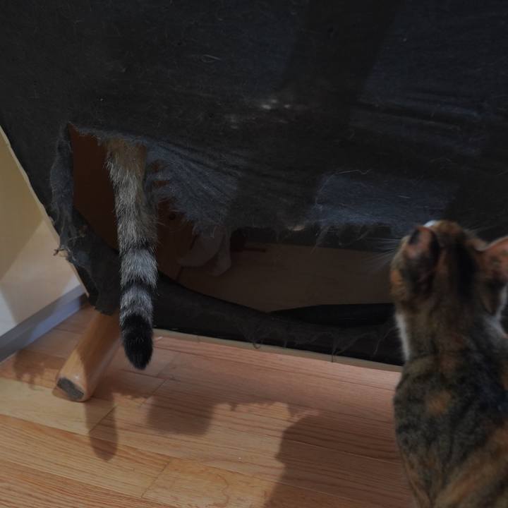 8ab7feb7 cf9e 4733 b319 0d7e61298fa7 1601768779841