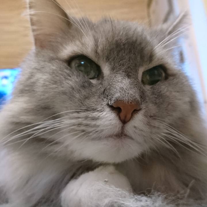 8ab81da7 322f 4fa3 8519 b6301653b832 1756554076975