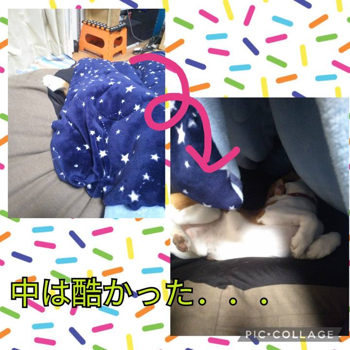 8ab83891 d693 4587 852e 5f7f4293e020 1637064290918