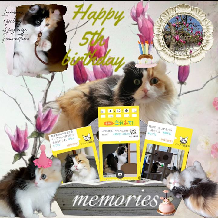 8ab83abb f7c0 4499 8b3f 834c56622a42 1710948743436