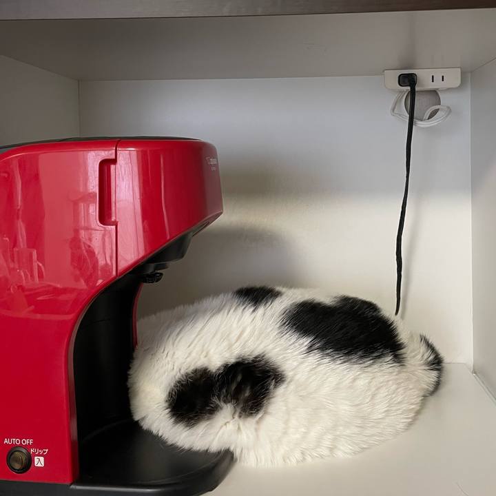 8ab8594d 339b 4230 a933 b1f54ac619f3 1653953667095