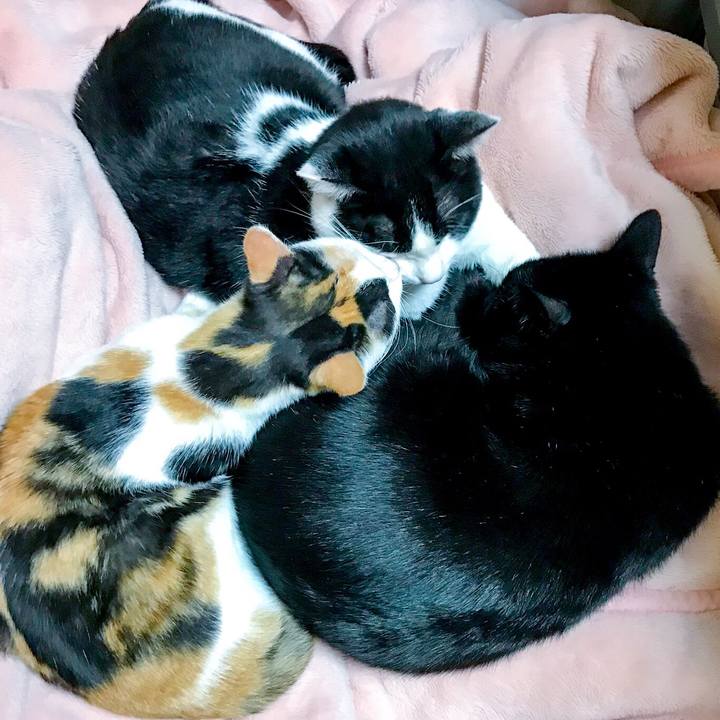 8ab88a66 2480 4976 b4a7 5d9412beec99 1511307171655