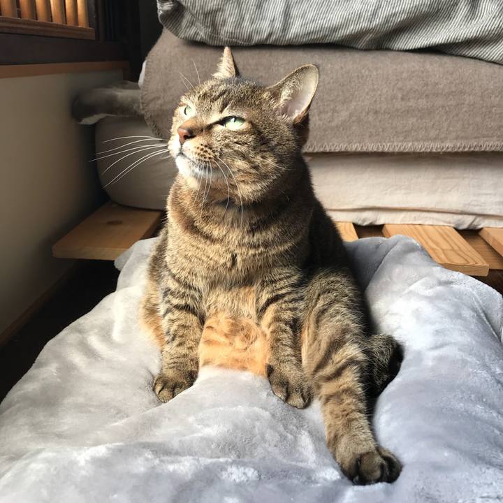 8ab8b689 0d68 4df3 8280 e86892c63ecf 1520086487621