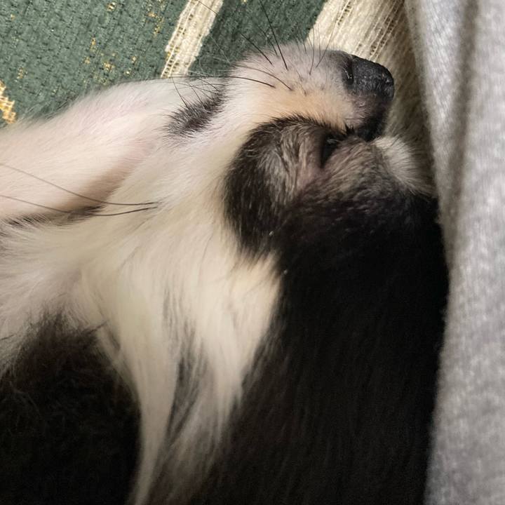 8ab8c6da 3046 4448 ac4f 1f009c036786 1640442721524