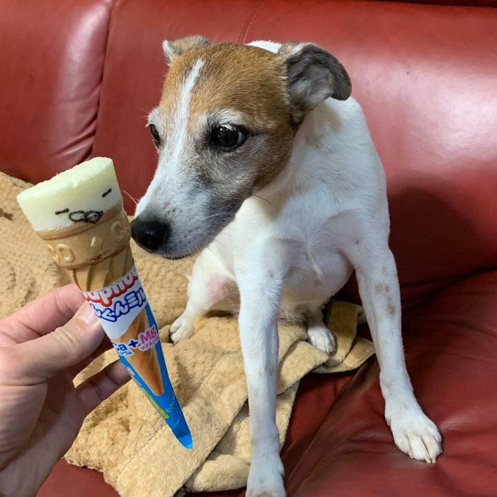 8ab8cb5b 0ed0 43f3 831f 7bbdaed9f927 1580012254609