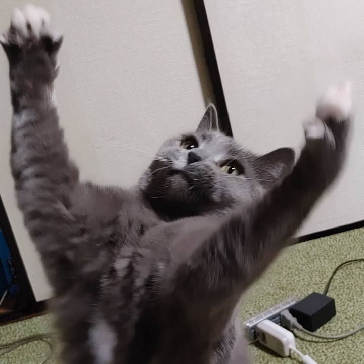 8ab939ac ff61 47bb b556 4e6017761ced 1645356797000