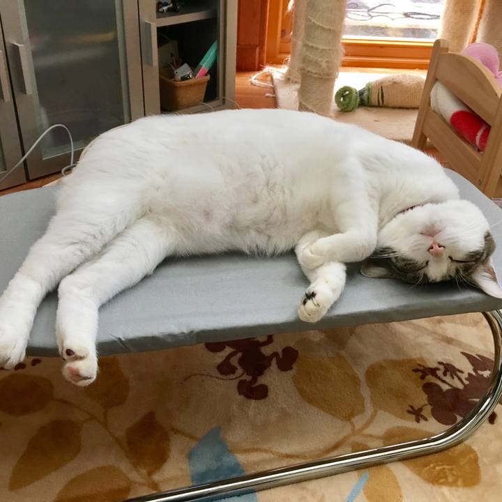 8ab9946f 6734 4936 b617 84c2c3aa9930 1508028071371