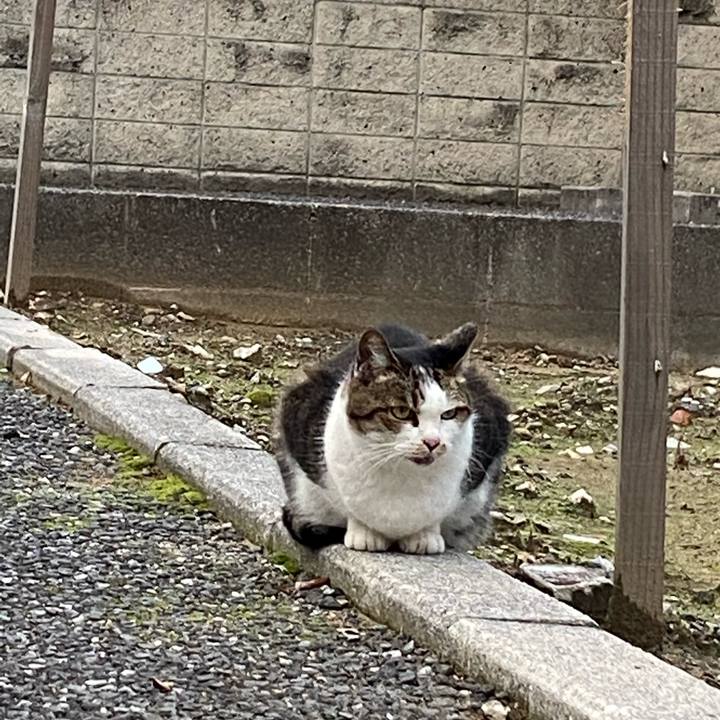 8ab9b625 d1a7 4446 a6ea b28101061c25 1666515704479