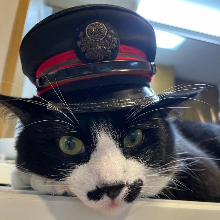 8ab9d09d 3515 41af bb8d 4c49b0b1c00b 1650286509138