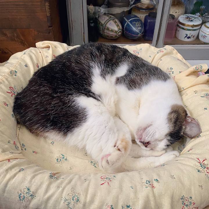 8ab9d5b9 ba76 4624 8d17 3615aa5a3ae5 1602916456312