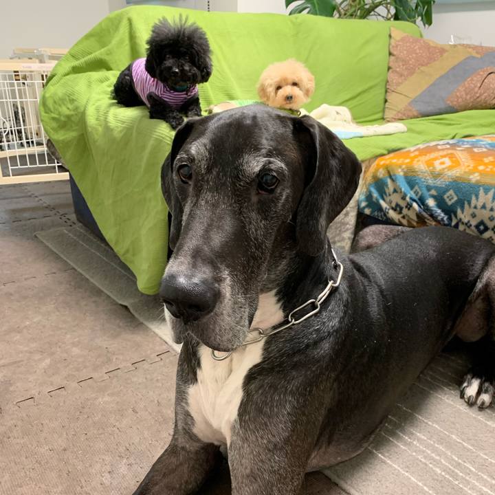 8ab9d5d6 80d6 402b 975f 20dc1614363f 1571180412709